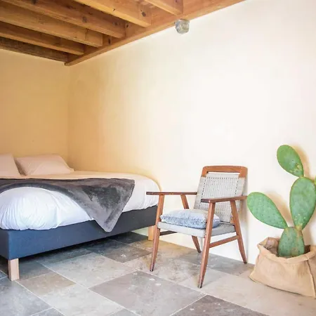 Eco Carbonaccio Orman Evi