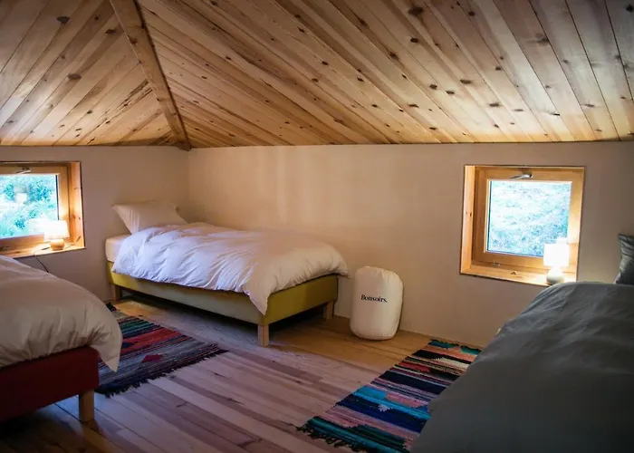 Lodge Eco Carbonaccio