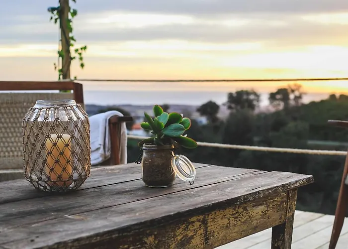 Eco Carbonaccio Lodge