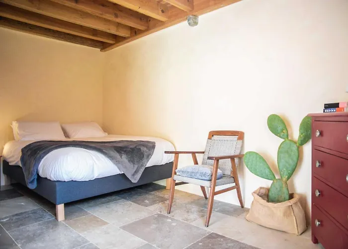 Eco Carbonaccio Lodge