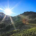 山林小屋 Eco Carbonaccio *