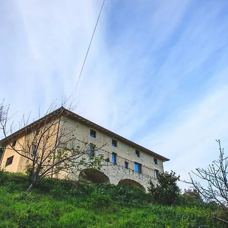 Lodge Eco Carbonaccio *