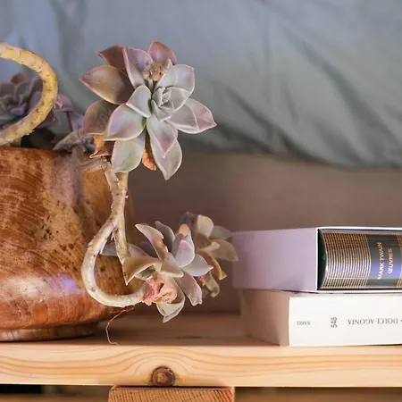 Eco Carbonaccio * Chiatra