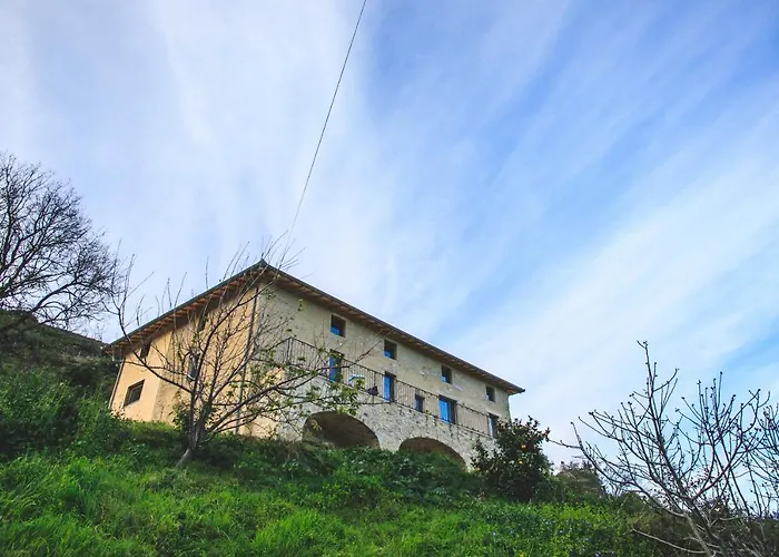 Lodge Eco Carbonaccio *