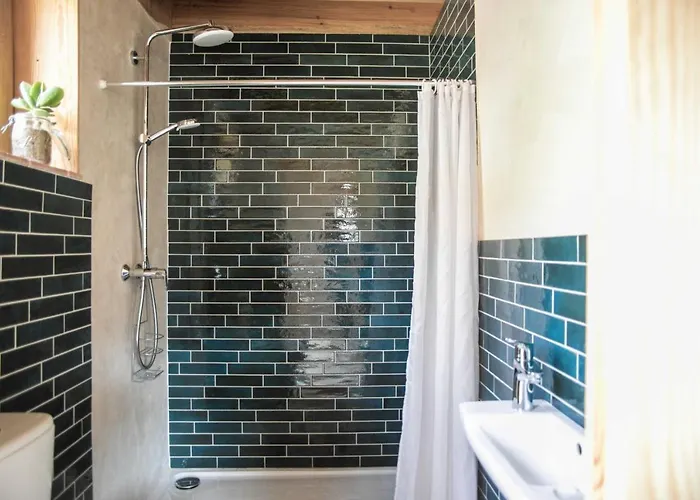 Lodge Eco Carbonaccio *