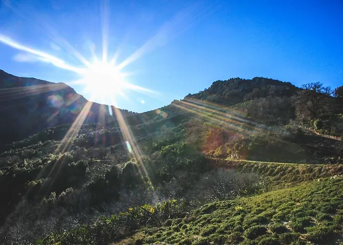 Lodge Eco Carbonaccio *